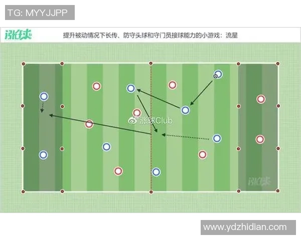 南京足球队区域防守体系解析与战术应用探讨