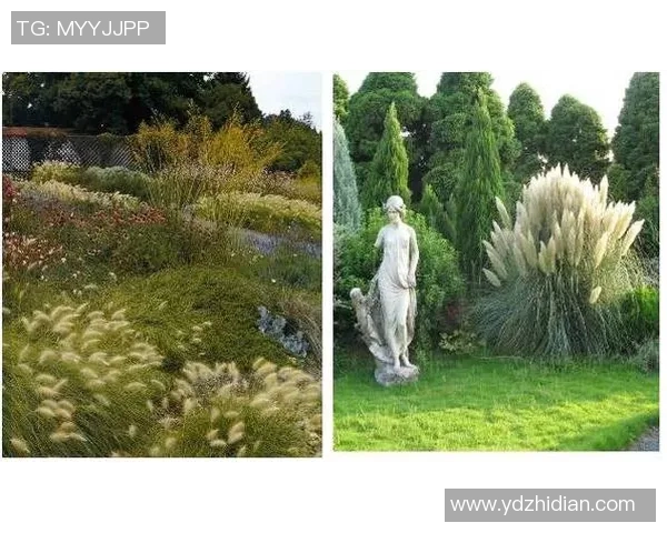 女足球明星的崛起与影响力探讨及其对女性运动发展的推动作用