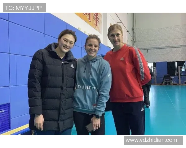 权威发布：2023年排球意识实力榜单全面解析与前瞻