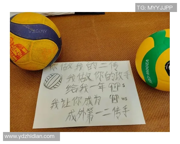 对话周丽:回顾我的排球生涯与成长历程分享 对话周丽:回顾我的排球生涯与成长历程分享