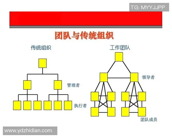 武汉篮球队防反体系解析：高效战术与团队协作的完美结合
