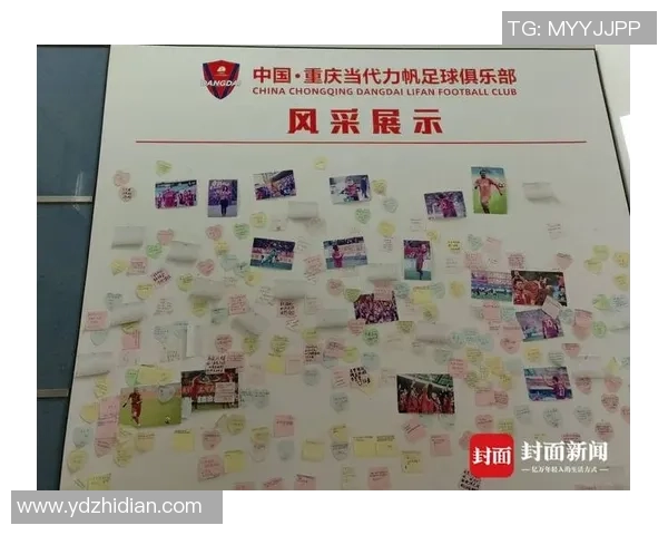 成都排球队战术解析与发展策略探讨助力球队提升竞技水平 成都排球队战术解析与发展策略探讨助力球队提升竞技水平