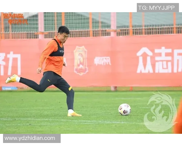 武汉足球队在锦标赛中的战术分析与表现评估