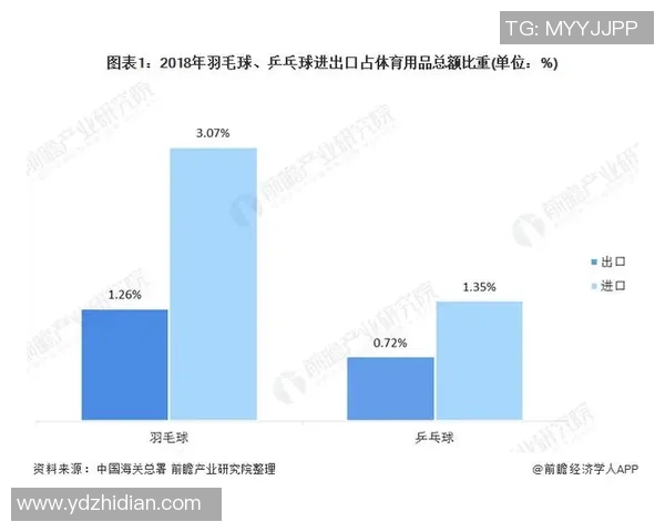 深圳羽毛球队意识对比深度解析与发展趋势探讨